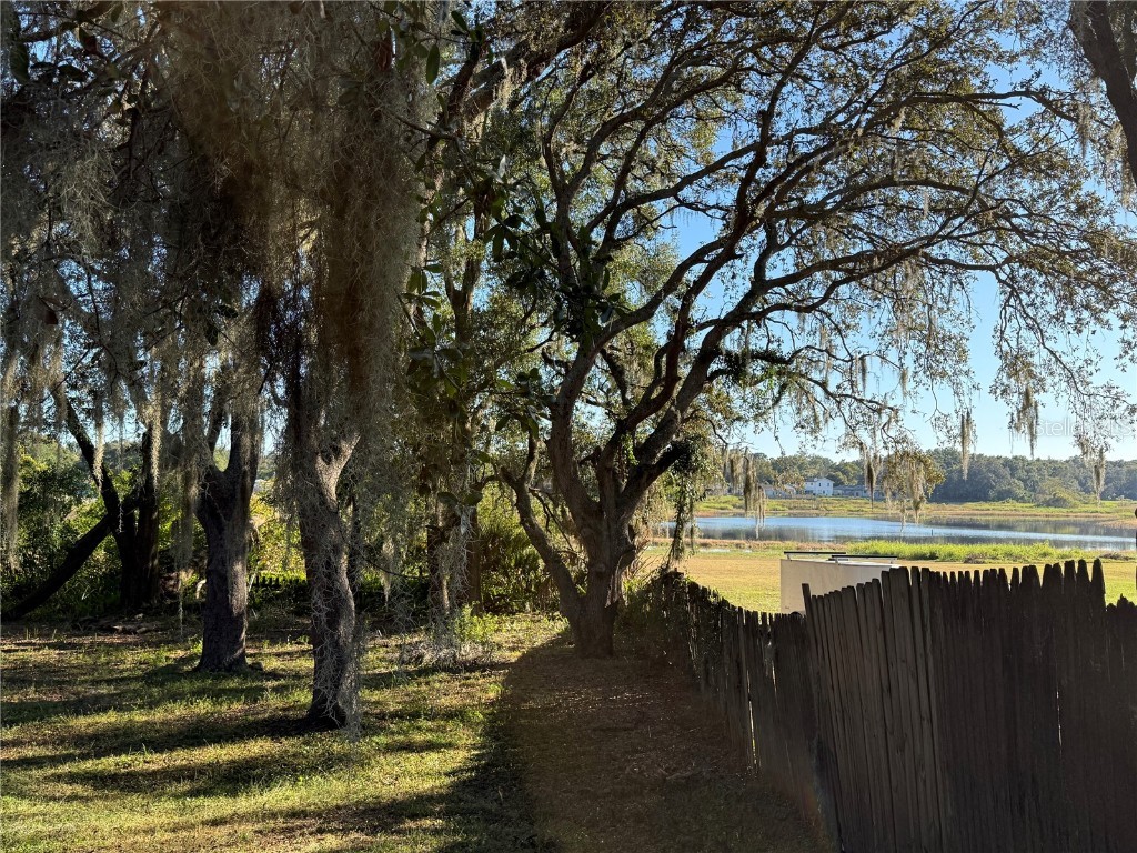 6416 Lake Horseshoe Drive Orlando FL 32818 - Horseshoe Lake O6361863 image38