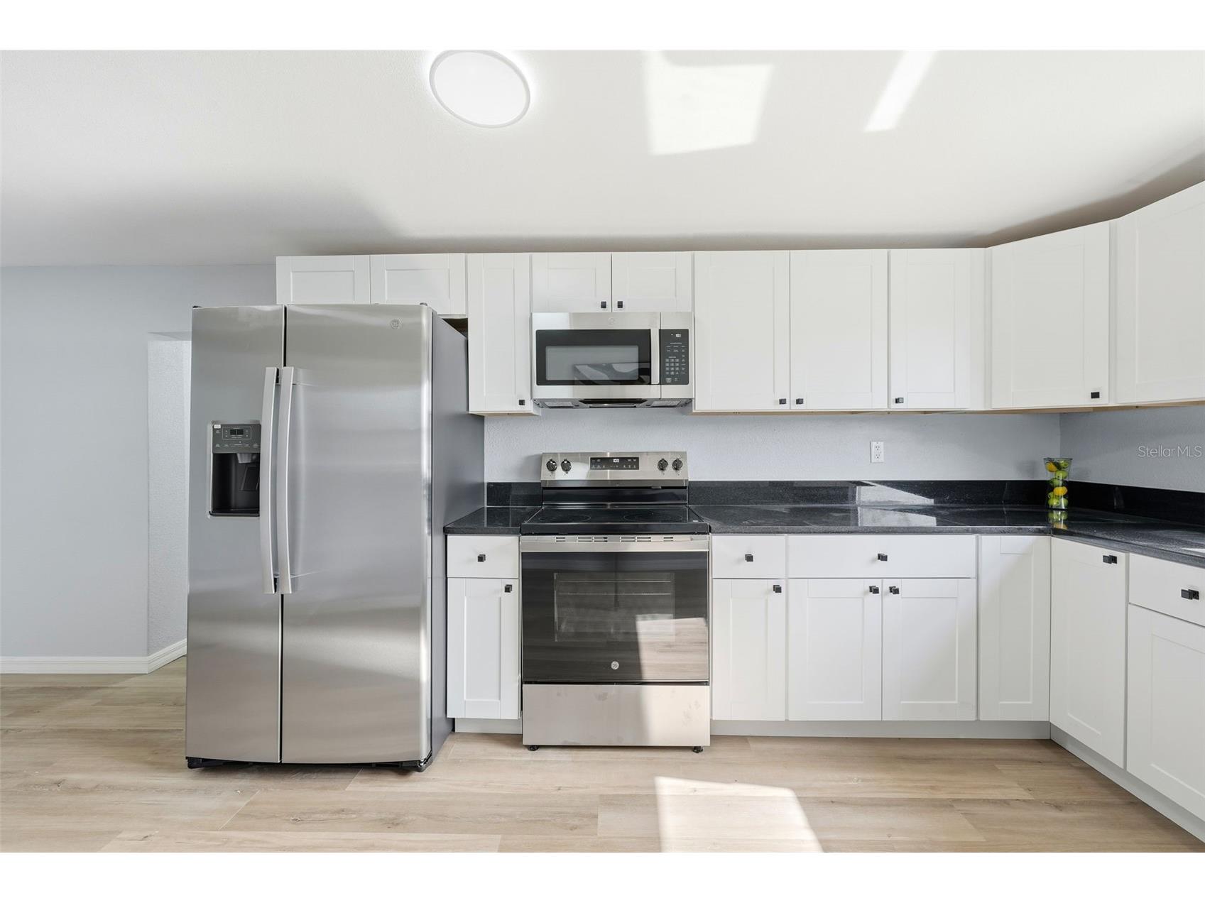 6416 Saddletree Drive Wesley Chapel FL 33544 L4958292 image5