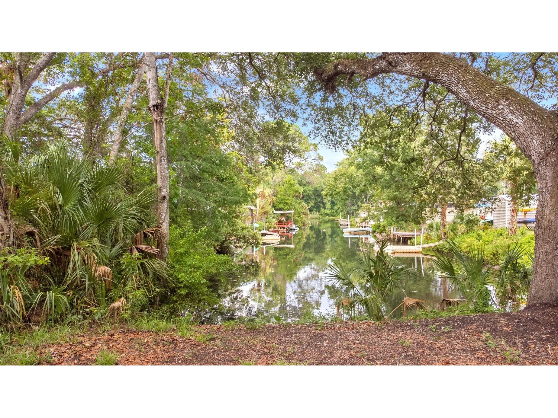 6416 Theresa Avenue Weeki Wachee FL 34607 TB8526485 image10
