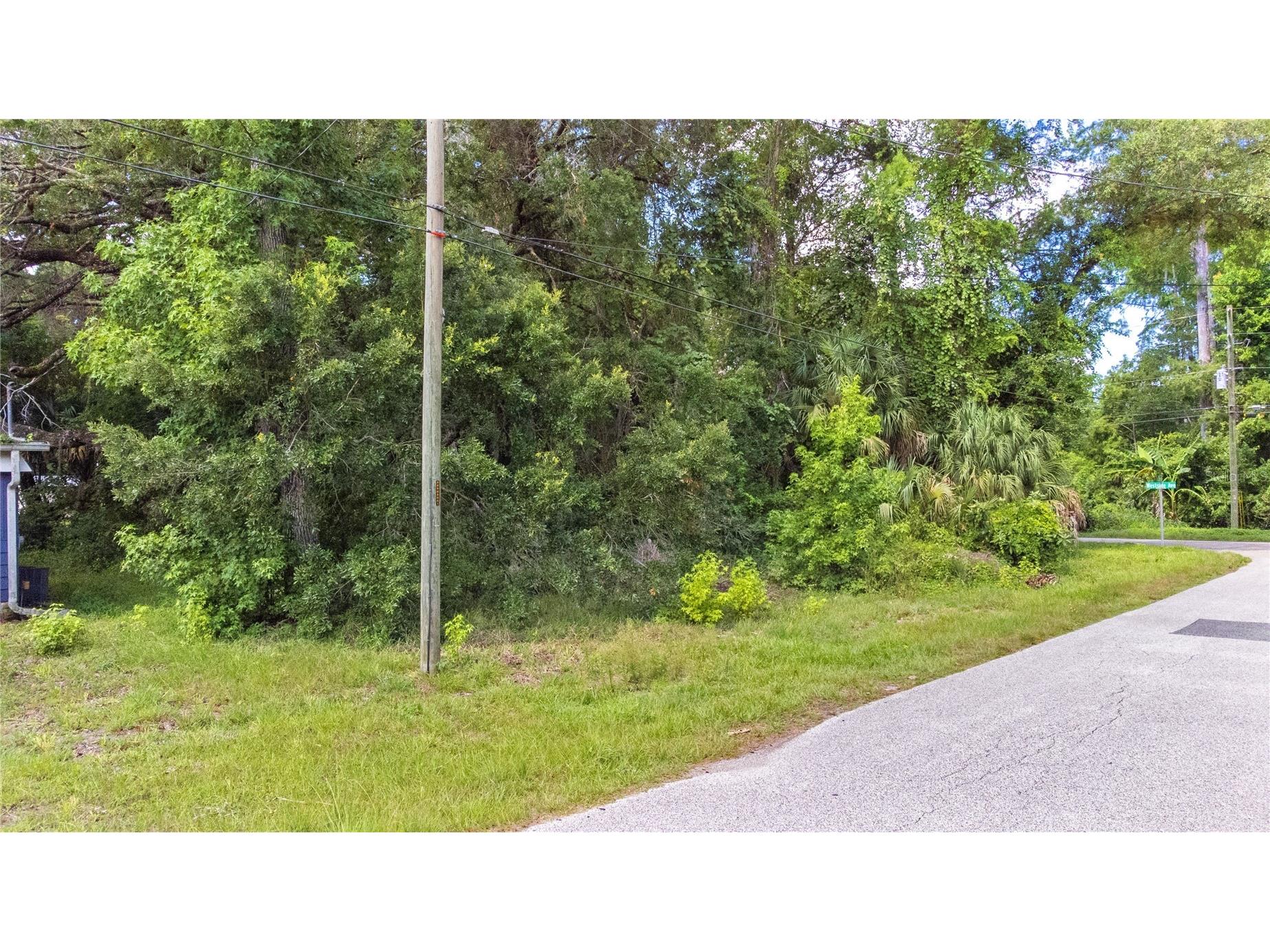 6416 Theresa Avenue Weeki Wachee FL 34607 TB8526485 image2