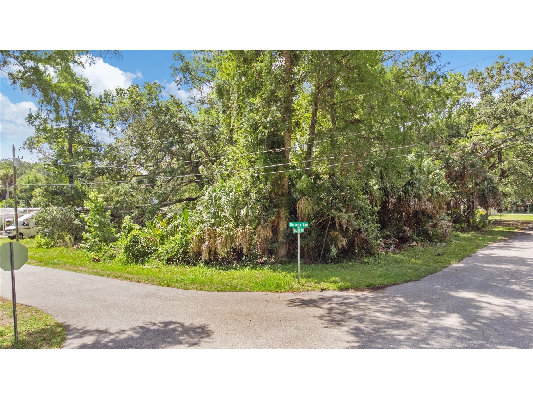 6416 Theresa Avenue Weeki Wachee FL 34607 TB8526485 image5