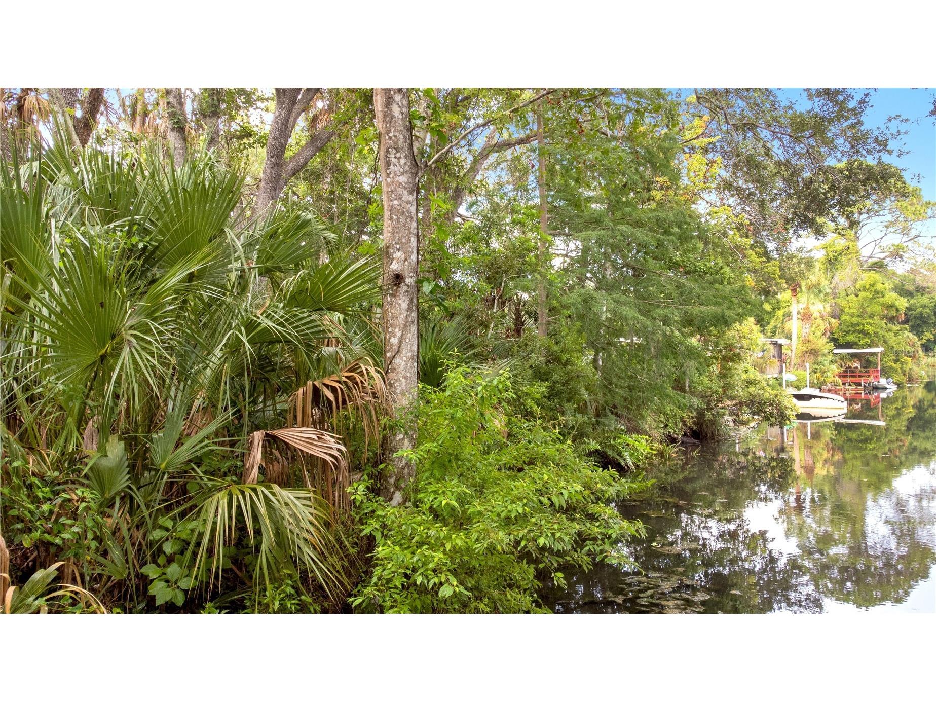 6416 Theresa Avenue Weeki Wachee FL 34607 TB8526485 image7