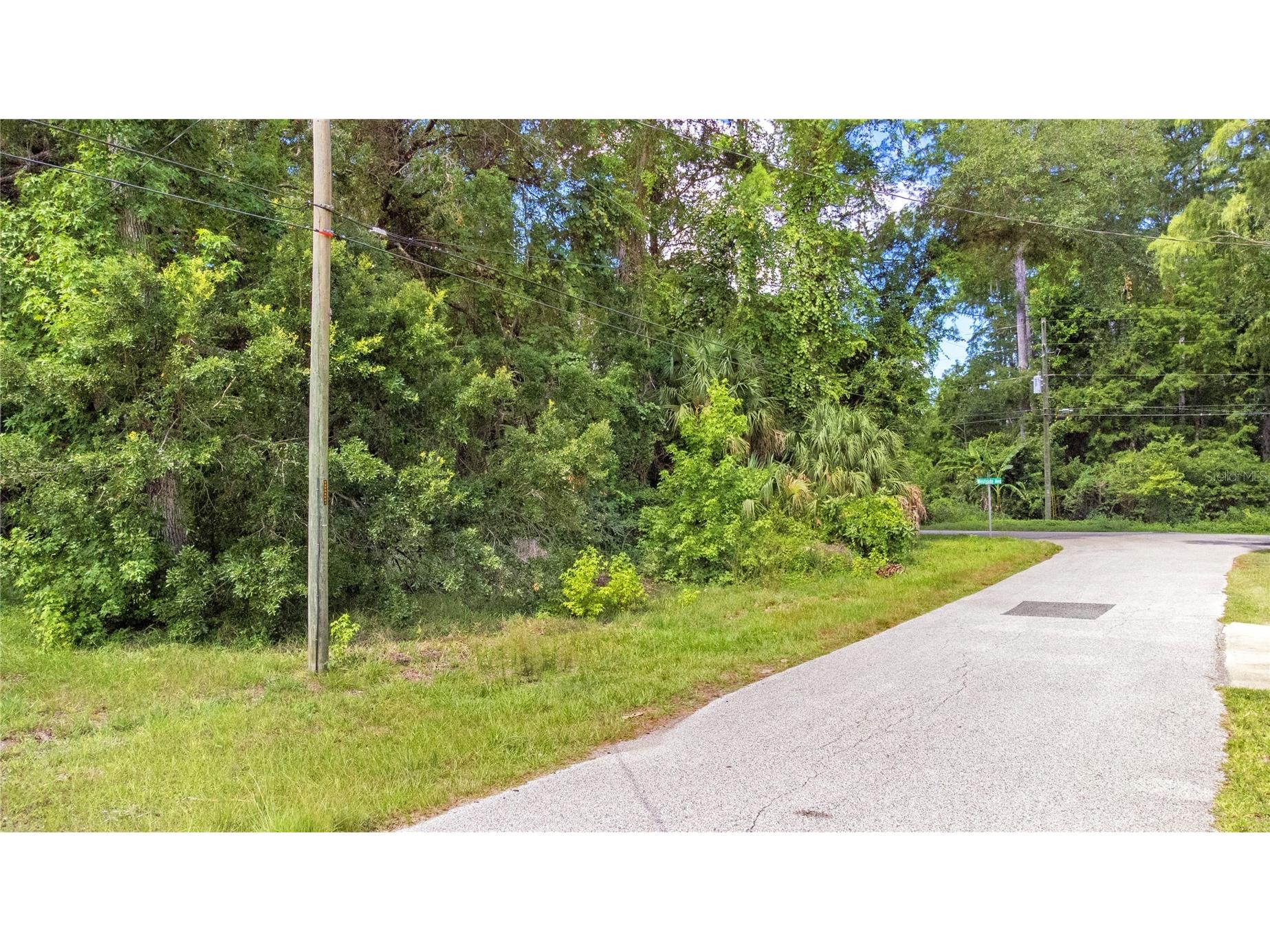 6416 Theresa Avenue Weeki Wachee FL 34607 TB8526485 image8