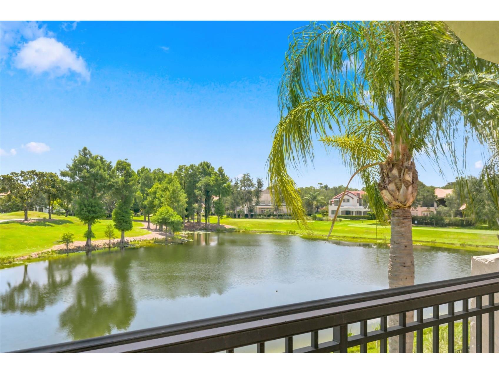 6417 Lake Burden View Drive Windermere FL 34786 O6418943 image66