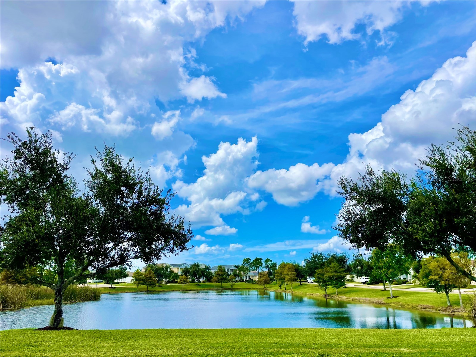 6417 Pine Breeze Run Sarasota FL 34243 A4666959 image23