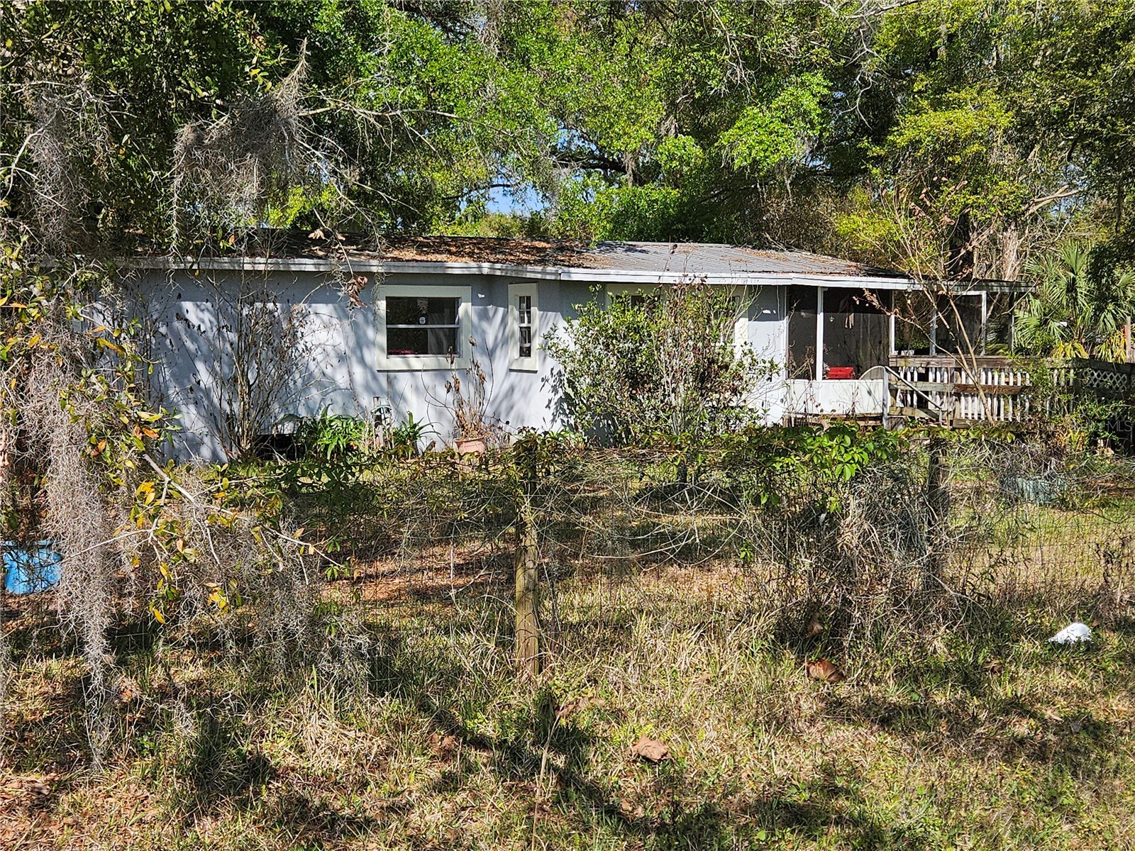 6417 Saddletree Drive Wesley Chapel FL 33544 TB8491718 image1