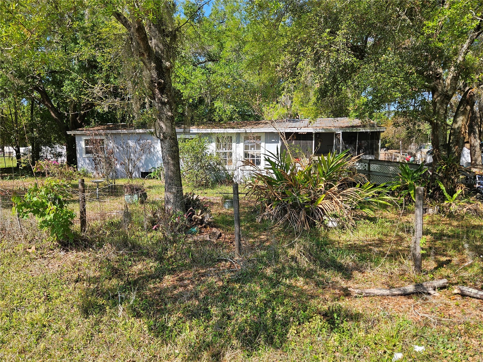 6417 Saddletree Drive Wesley Chapel FL 33544 TB8491718 image3
