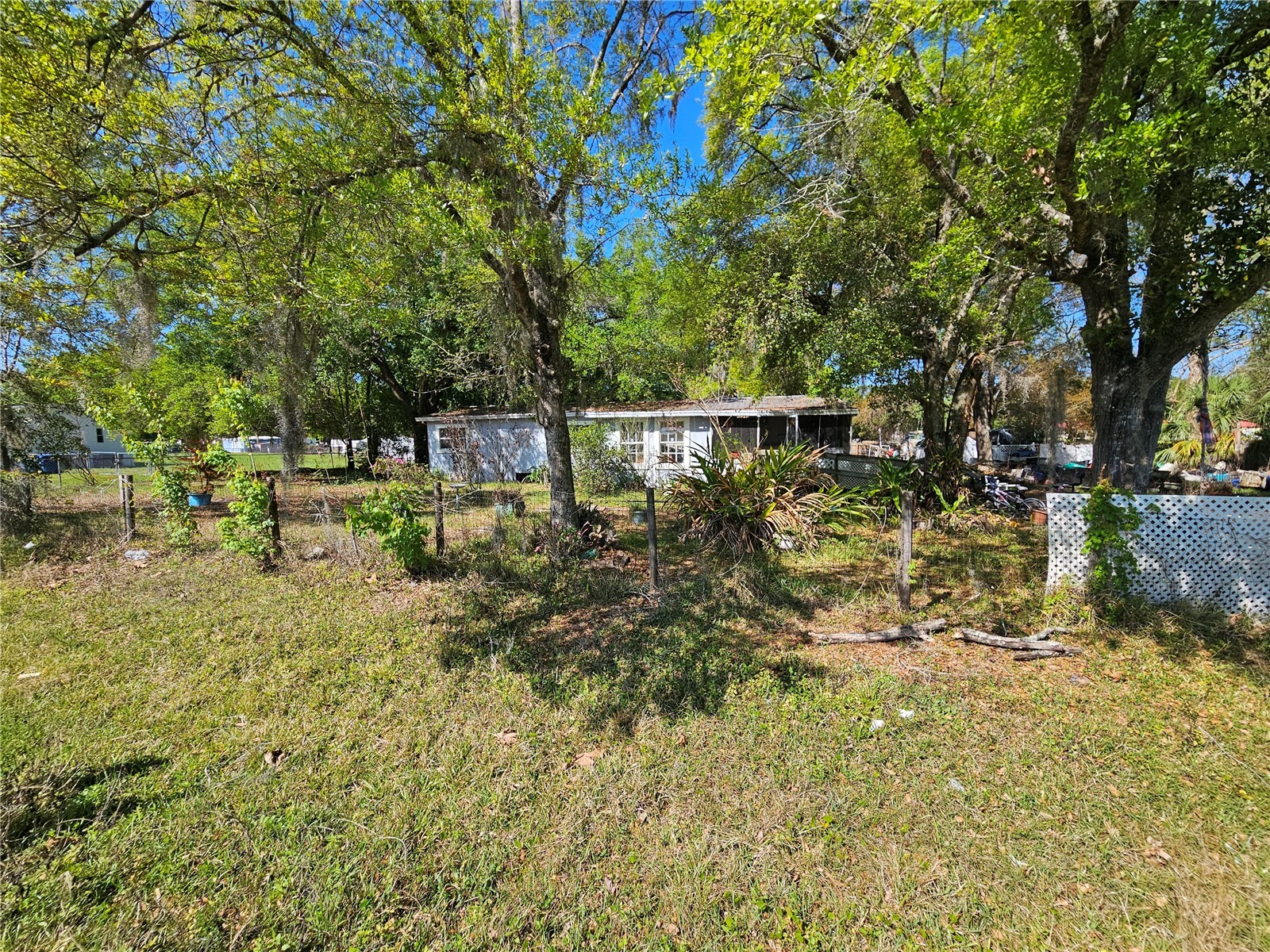 6417 Saddletree Drive Wesley Chapel FL 33544 TB8491718 image4