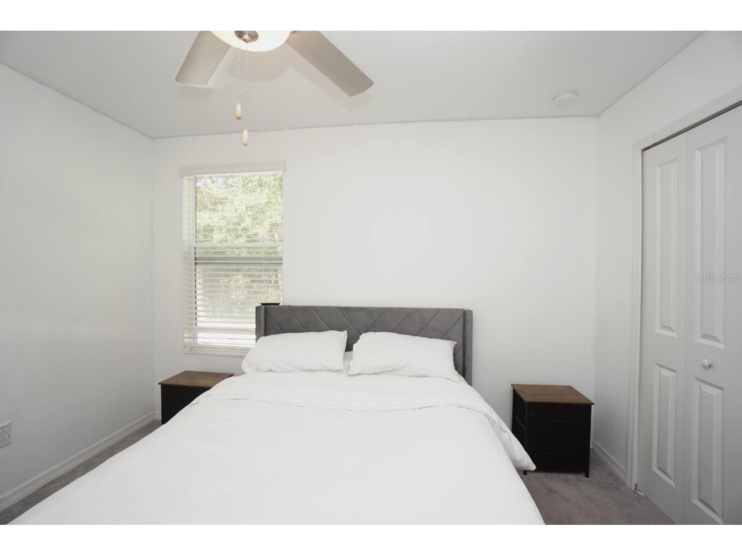 6417 Ten Acre Court Zephyrhills FL 33541 TB8487141 image16