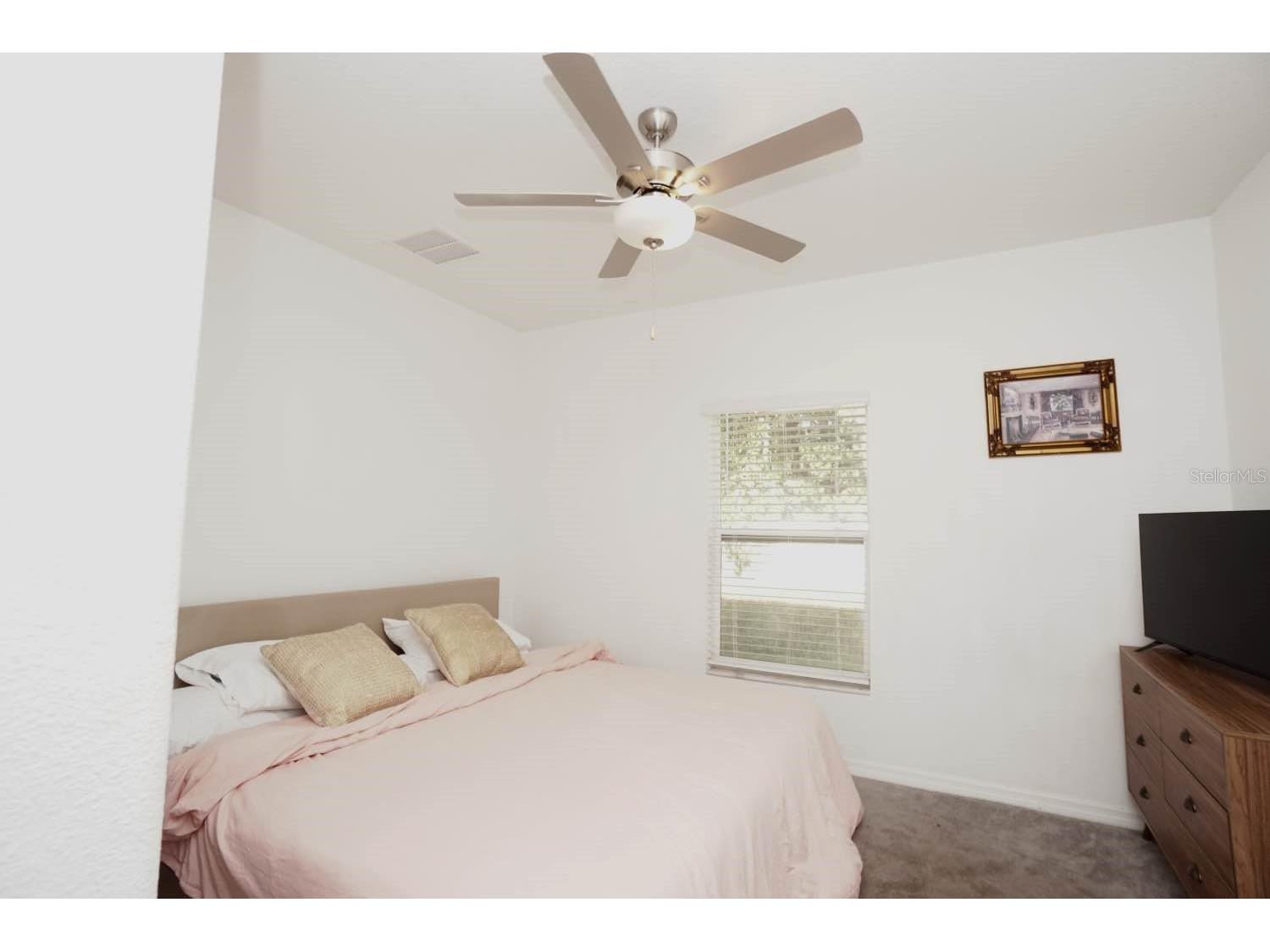 6417 Ten Acre Court Zephyrhills FL 33541 TB8487141 image19