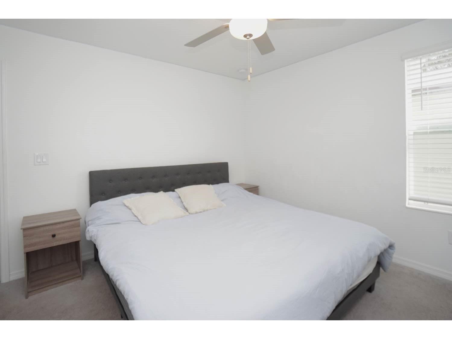 6417 Ten Acre Court Zephyrhills FL 33541 TB8487141 image8