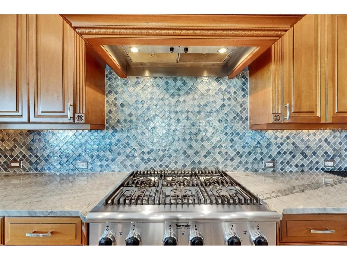 6418 Bright Bay Court Apollo Beach FL 33572 TB8397050 image14