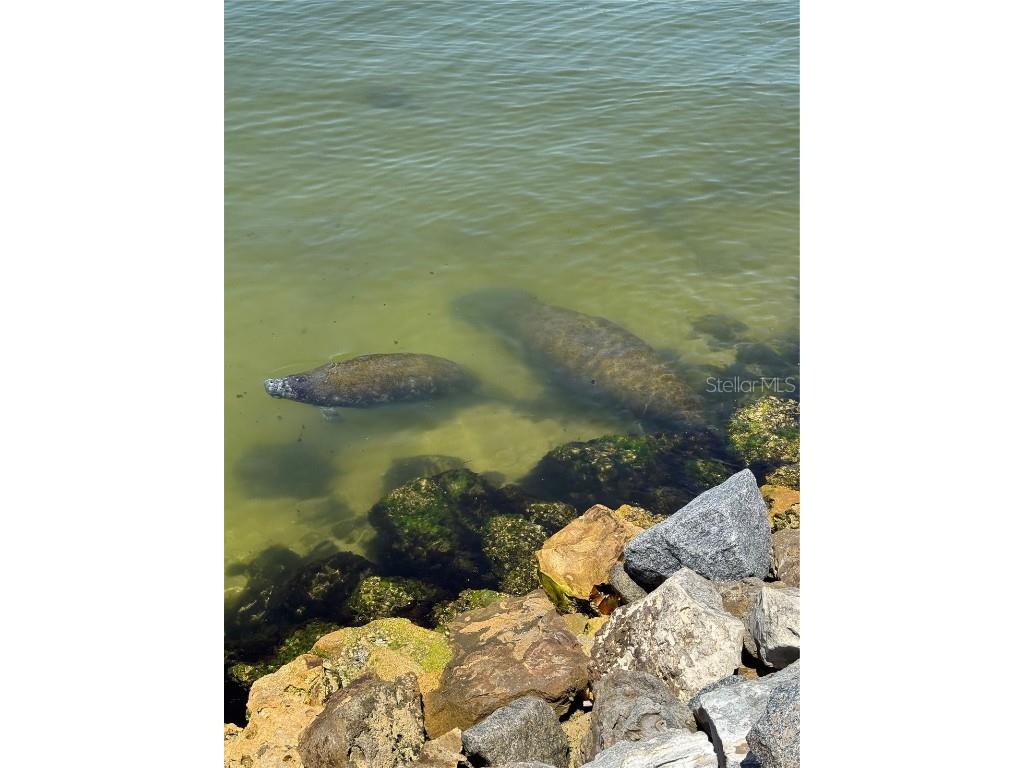 6418 Bright Bay Court Apollo Beach FL 33572 TB8397050 image7