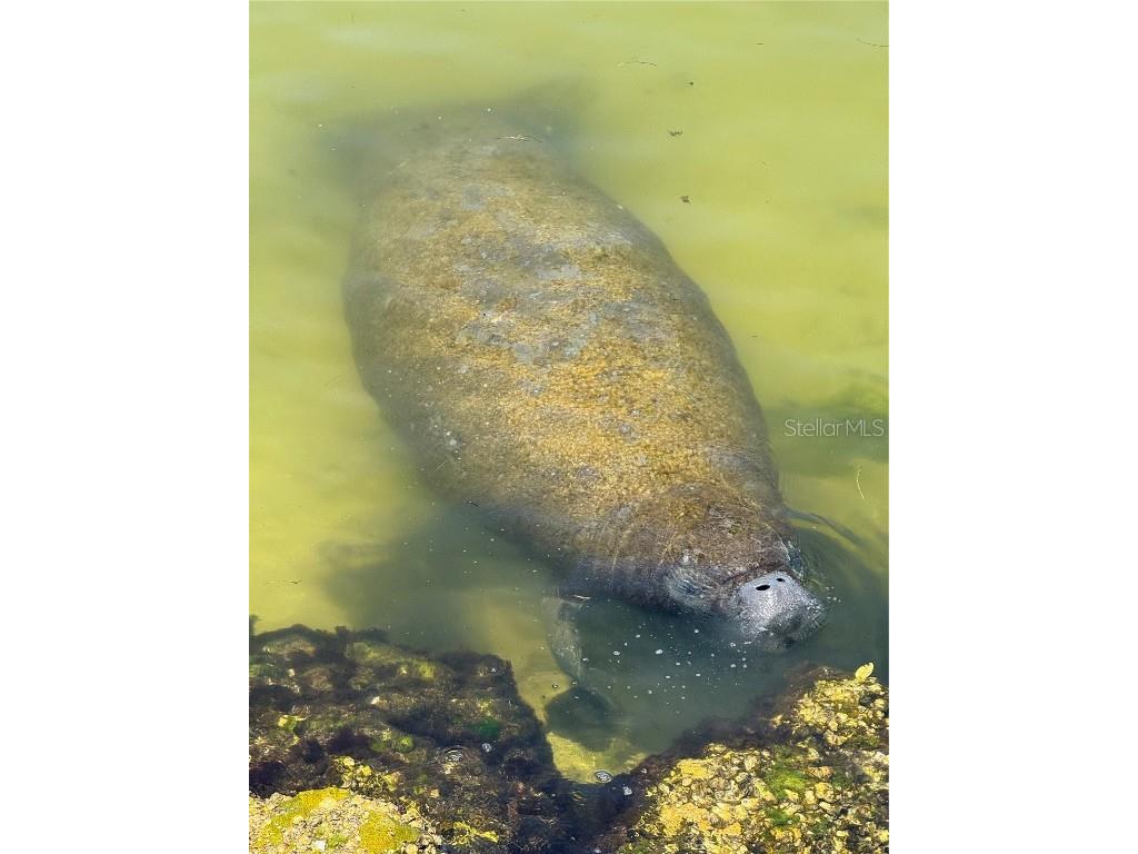 6418 Bright Bay Court Apollo Beach FL 33572 TB8397050 image72