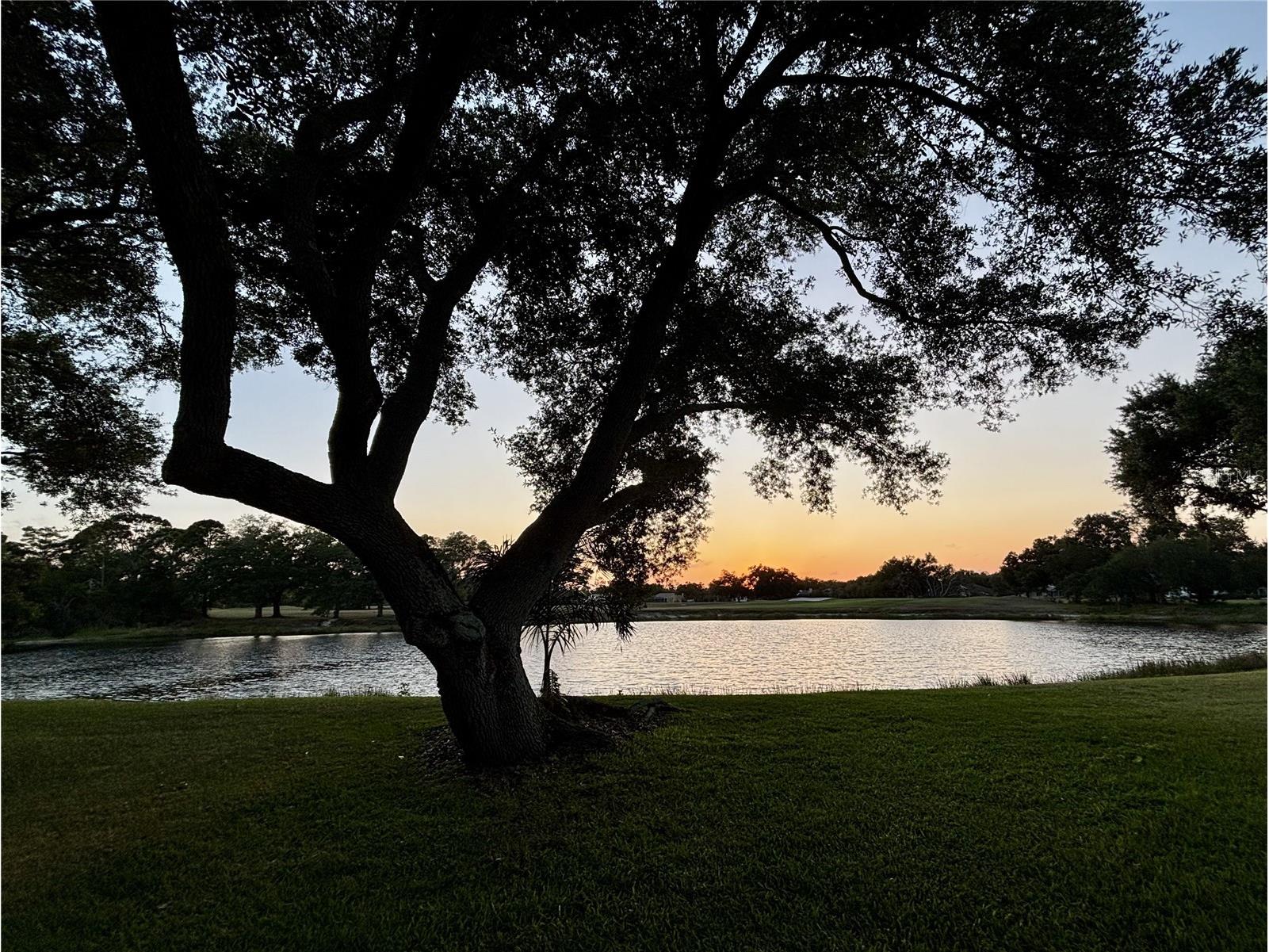 6418 Jackie Lynn Court Sarasota FL 34241 A4690185 image13