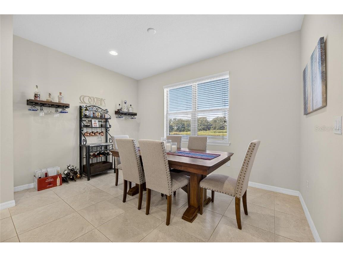 6418 Yellow Buckeye Drive Riverview FL 33578 TB8461158 image14