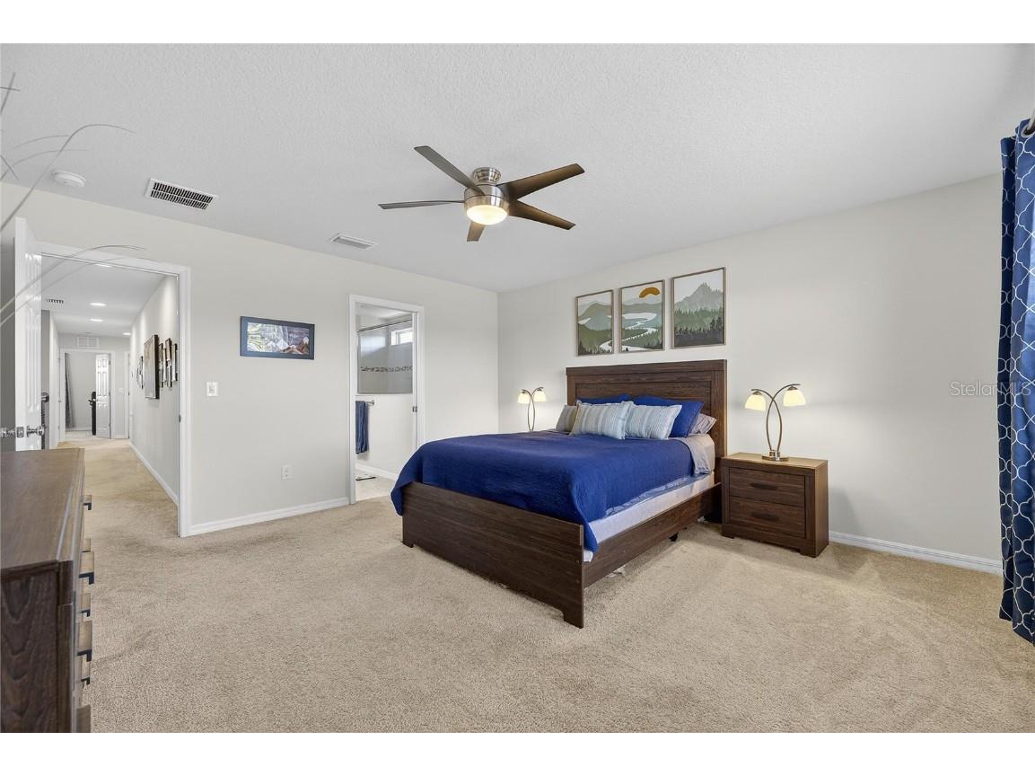 6418 Yellow Buckeye Drive Riverview FL 33578 TB8461158 image28