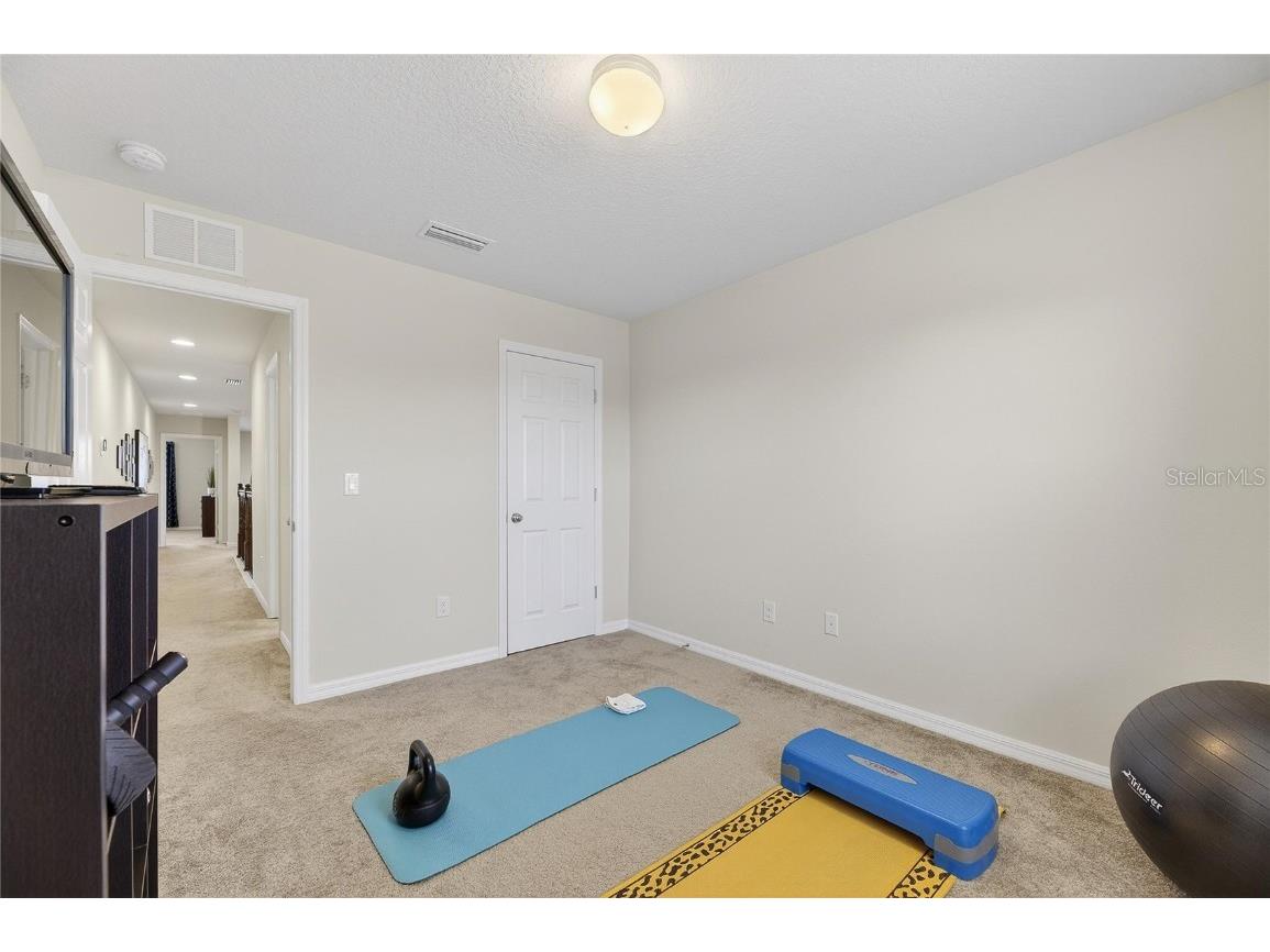 6418 Yellow Buckeye Drive Riverview FL 33578 TB8461158 image35