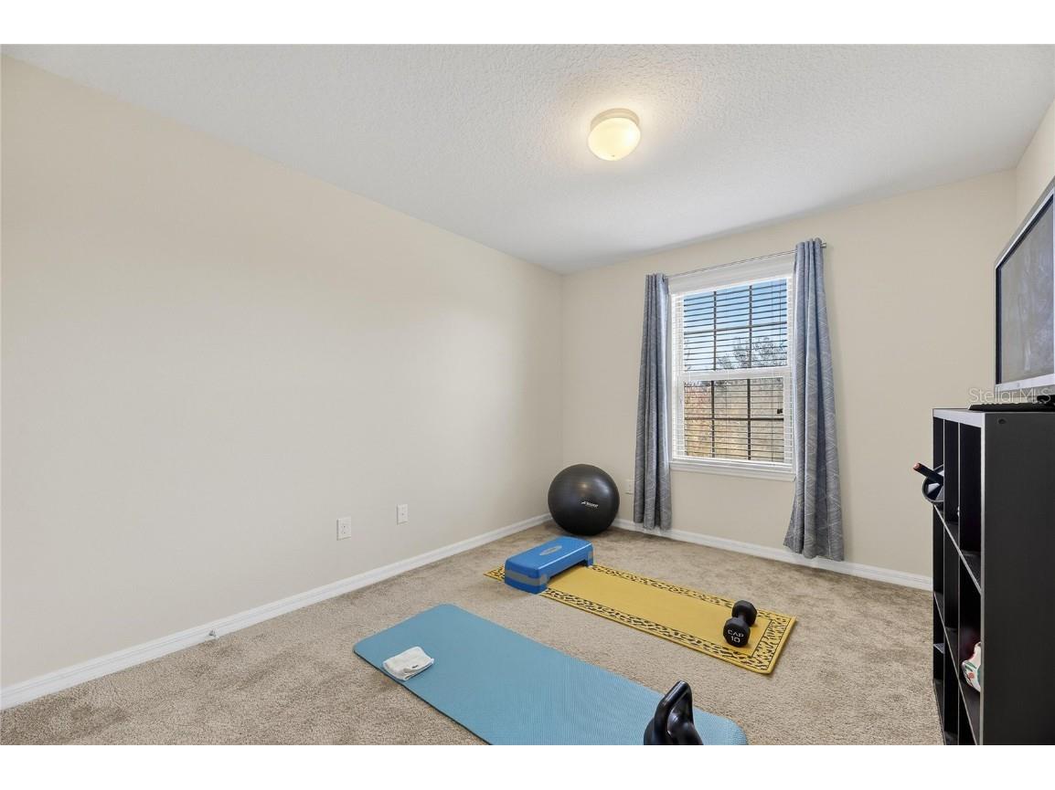 6418 Yellow Buckeye Drive Riverview FL 33578 TB8461158 image36