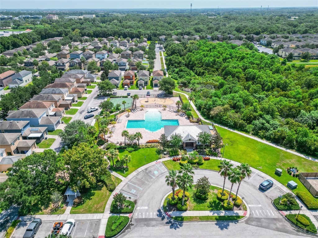 6418 Yellow Buckeye Drive Riverview FL 33578 TB8461158 image45