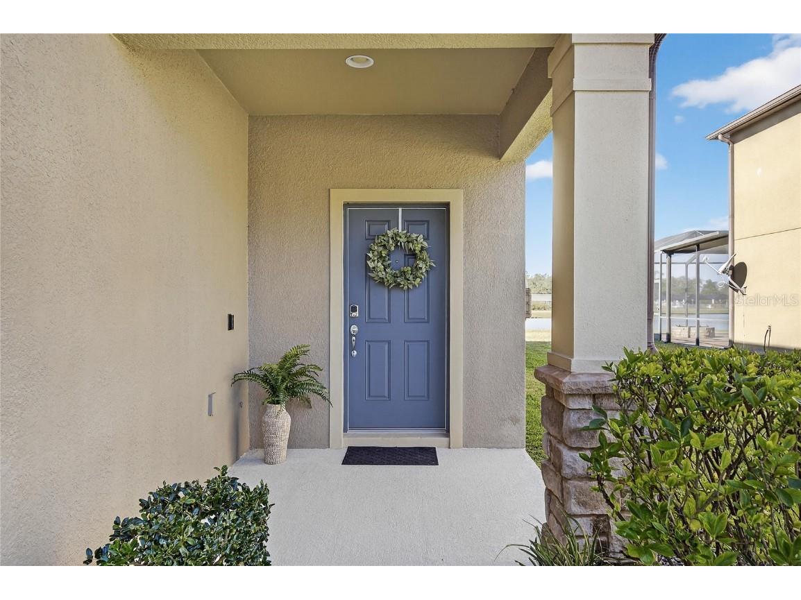 6418 Yellow Buckeye Drive Riverview FL 33578 TB8461158 image5