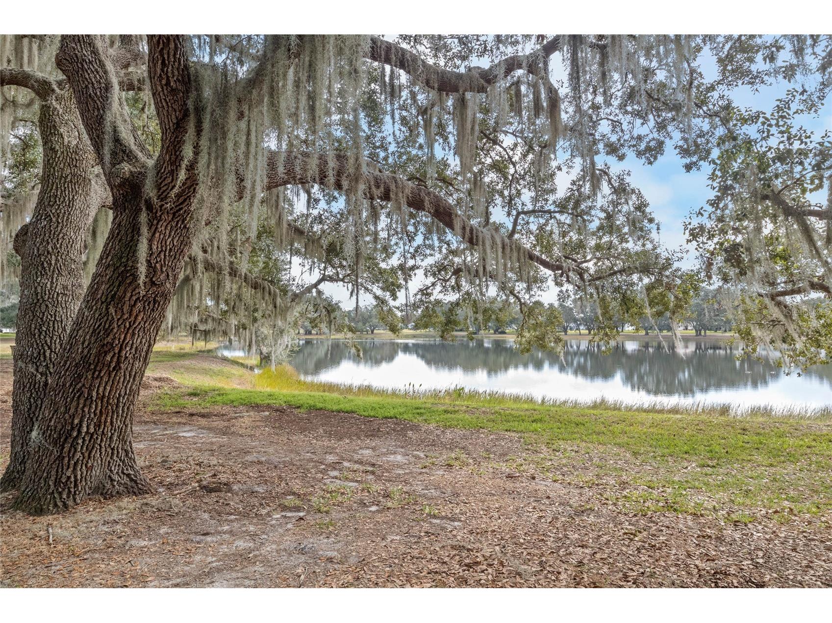 6419 Borg Street Leesburg FL 34748 G5112734 image72