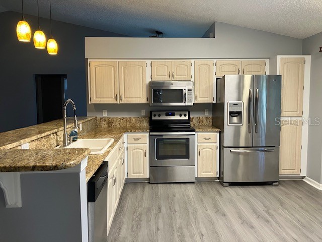 6419 Borg Street Leesburg FL 34748 O6301006 image3