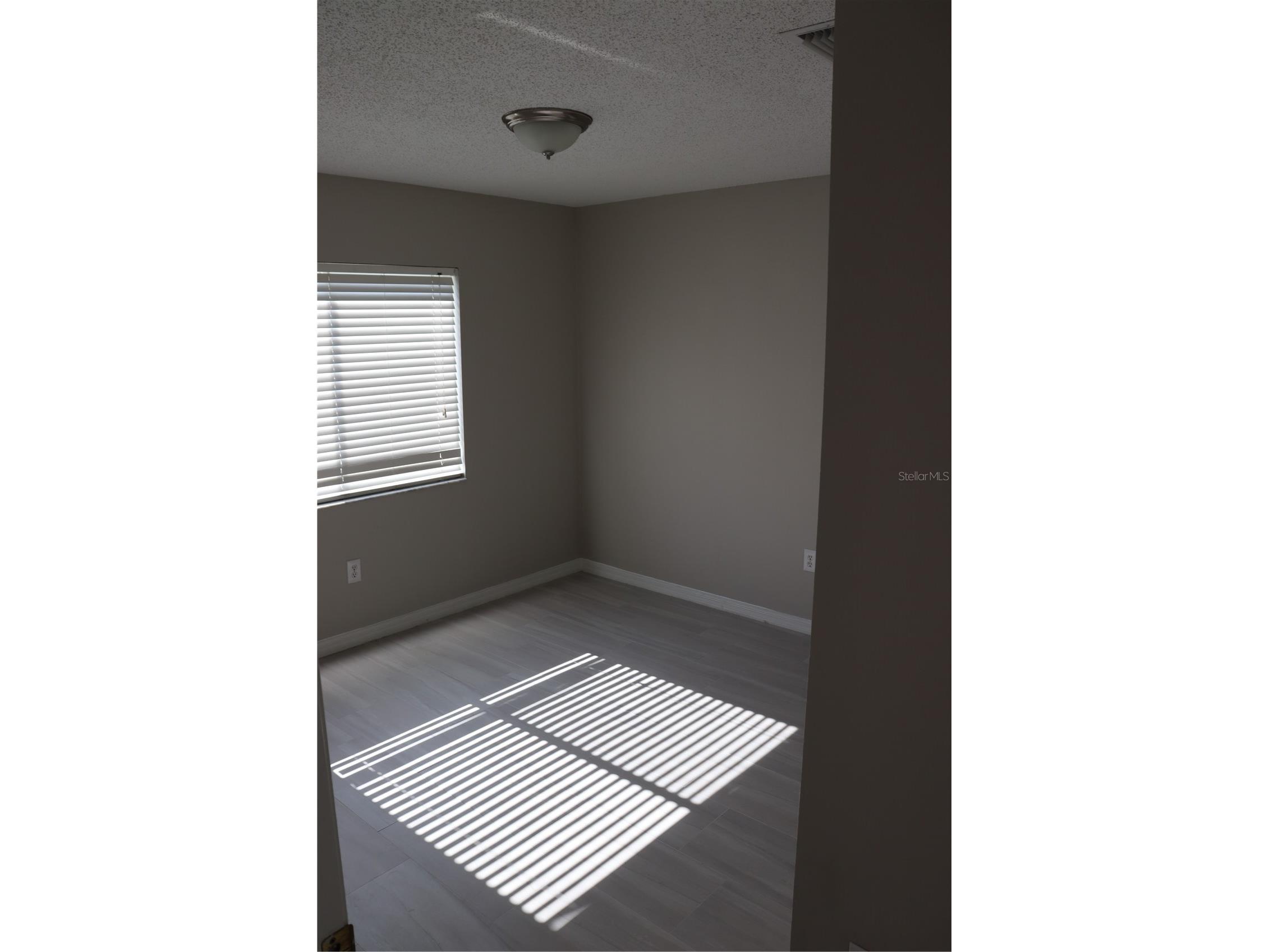 6419 Chapel Pines Boulevard Wesley Chapel FL 33545 TB8459520 image5