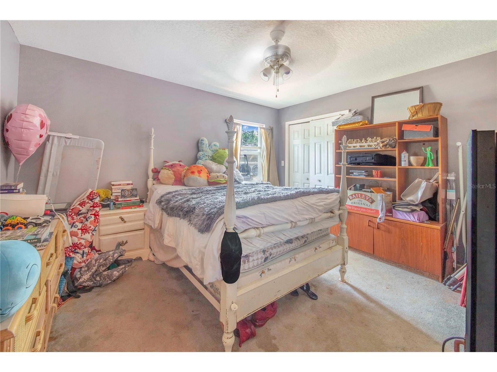 6419 Lunn Road Lakeland FL 33811 P4939023 image23