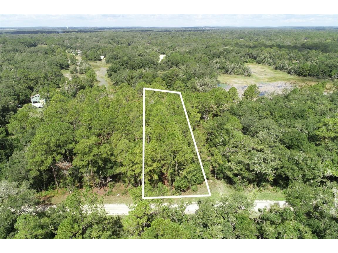 6419 Otter Drive Webster FL 33597 T3462823 image1