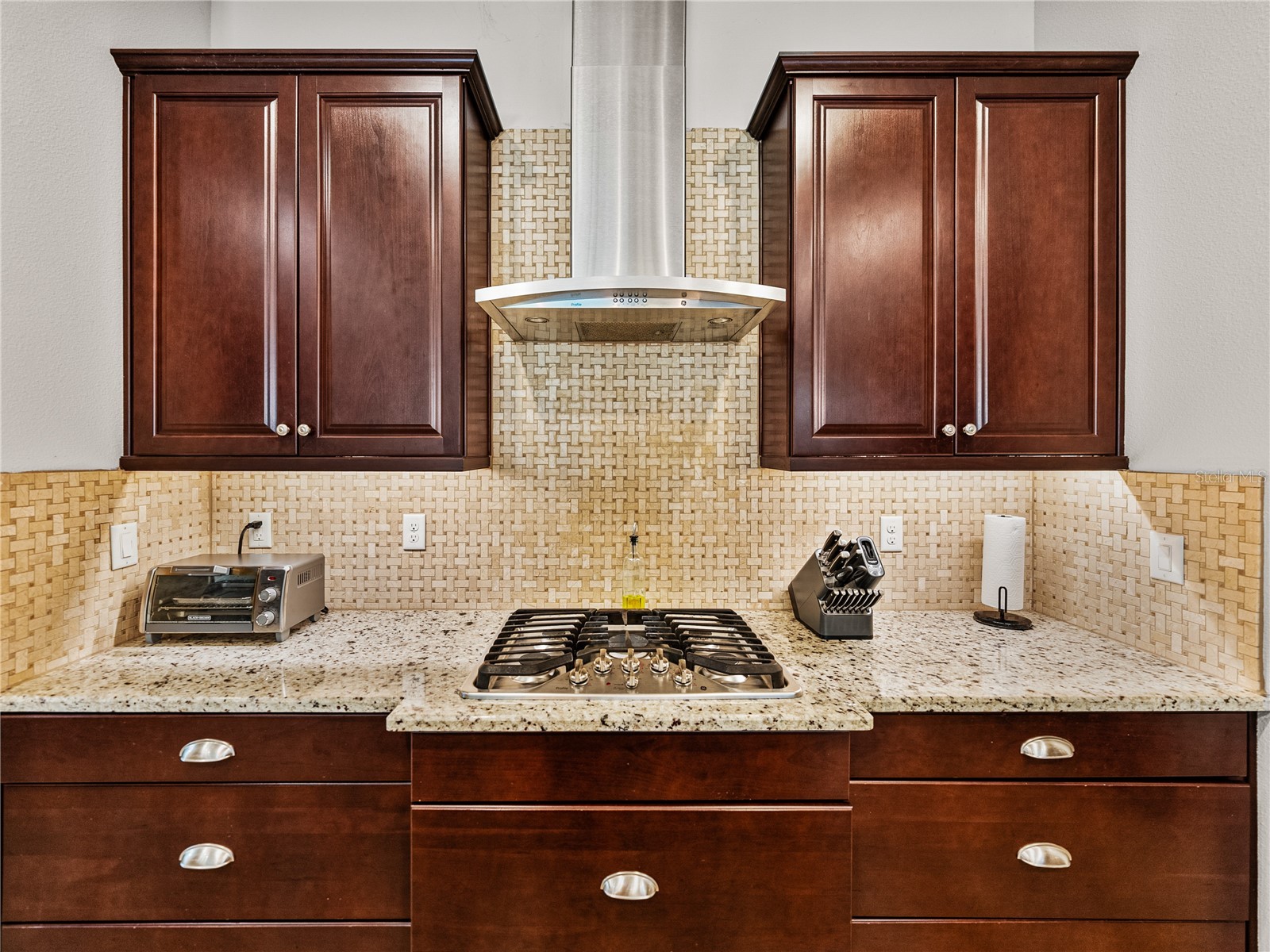 6419 Seasound Drive Apollo Beach FL 33572 TB8494974 image12
