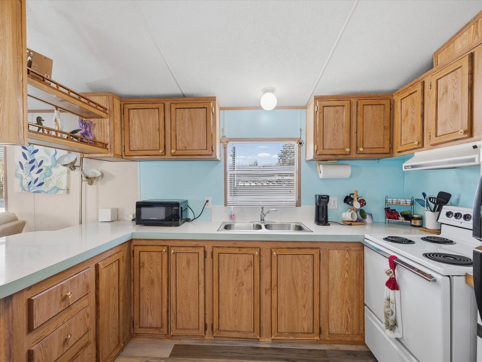 6419 W Richard Drive Weeki Wachee FL 34607 TB8481036 image19