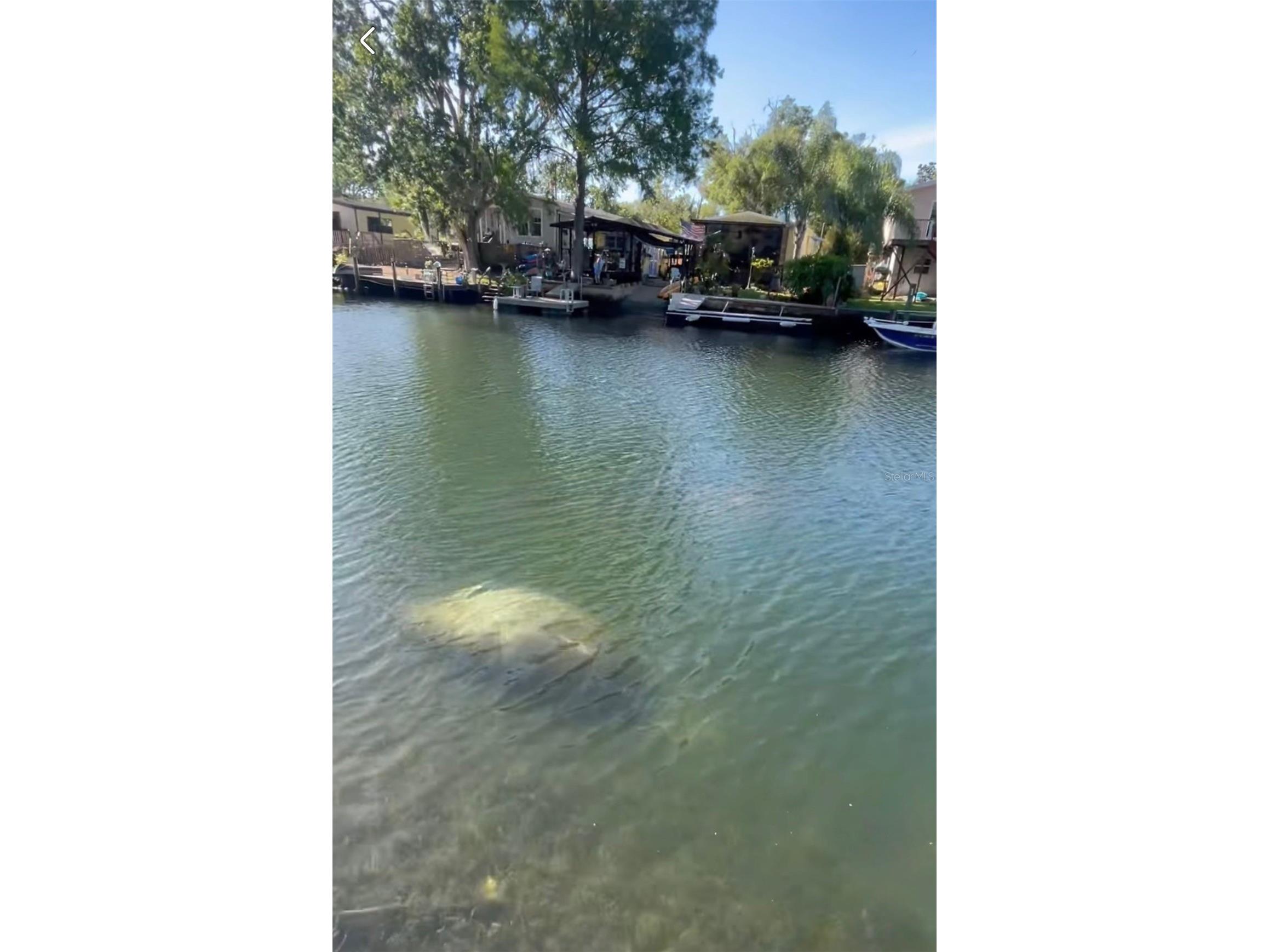 6419 W Richard Drive Weeki Wachee FL 34607 TB8481036 image2