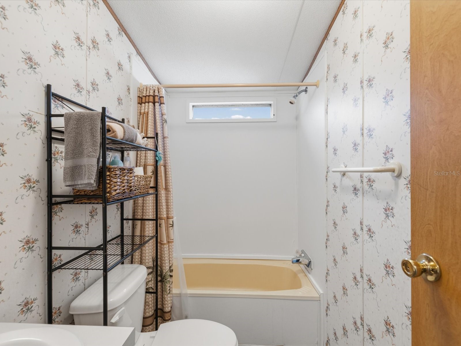 6419 W Richard Drive Weeki Wachee FL 34607 TB8481036 image31