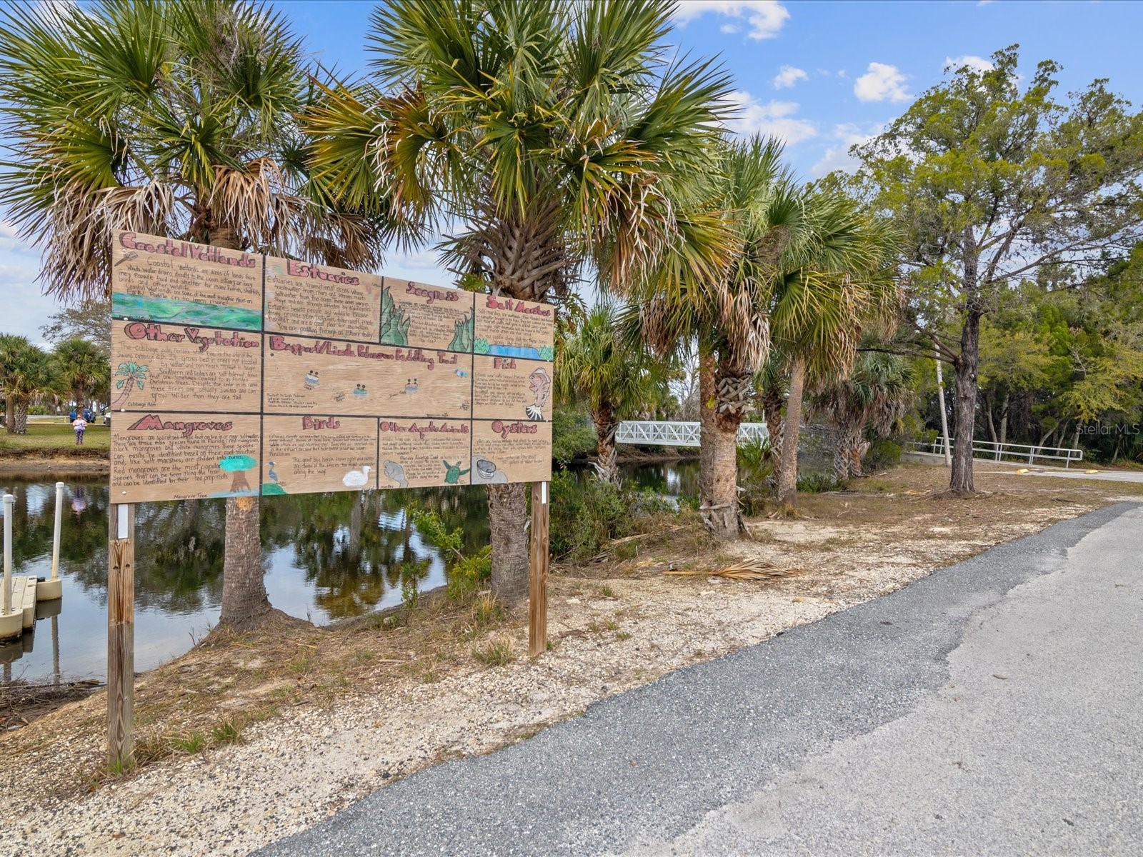 6419 W Richard Drive Weeki Wachee FL 34607 TB8481036 image56