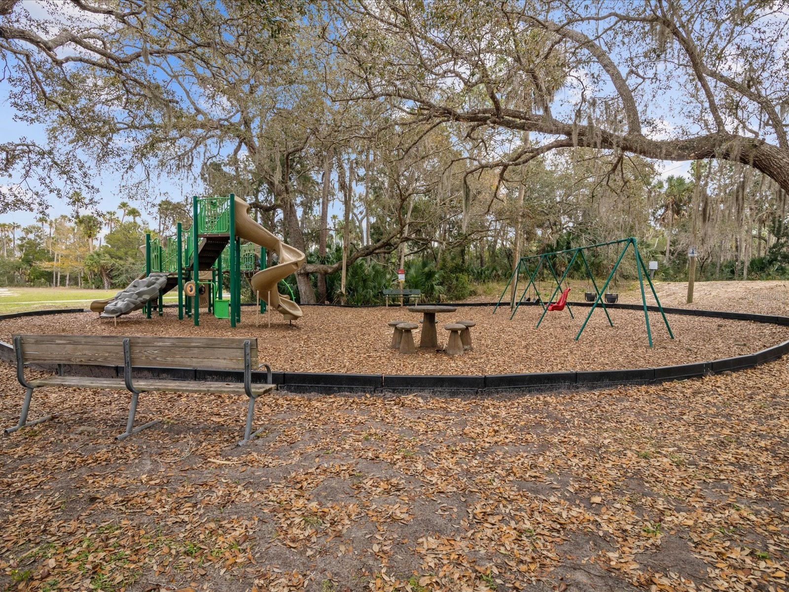 6419 W Richard Drive Weeki Wachee FL 34607 TB8481036 image61