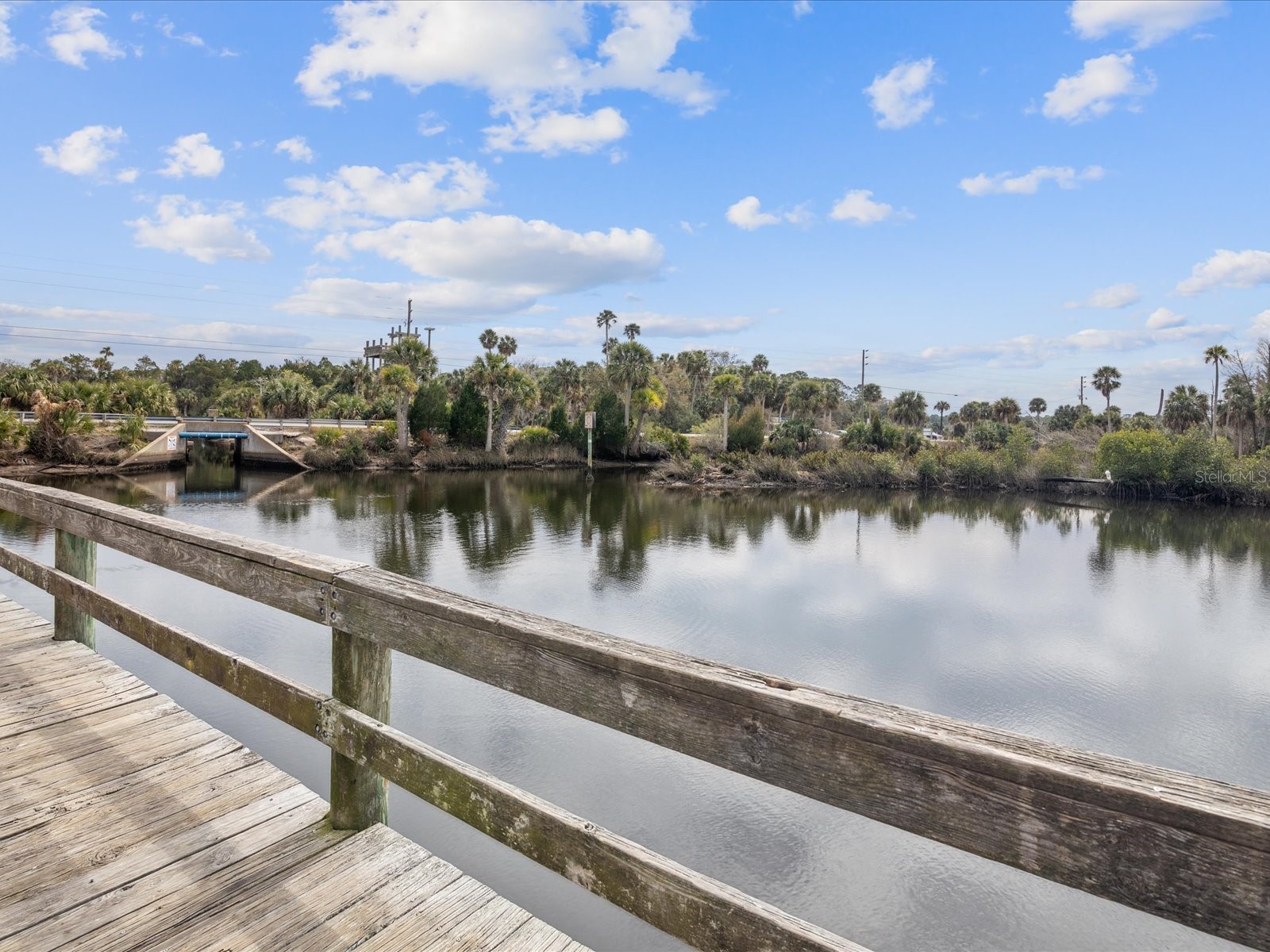 6419 W Richard Drive Weeki Wachee FL 34607 TB8481036 image64