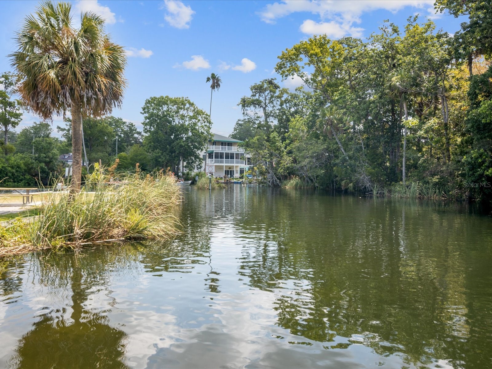6419 W Richard Drive Weeki Wachee FL 34607 TB8481036 image69