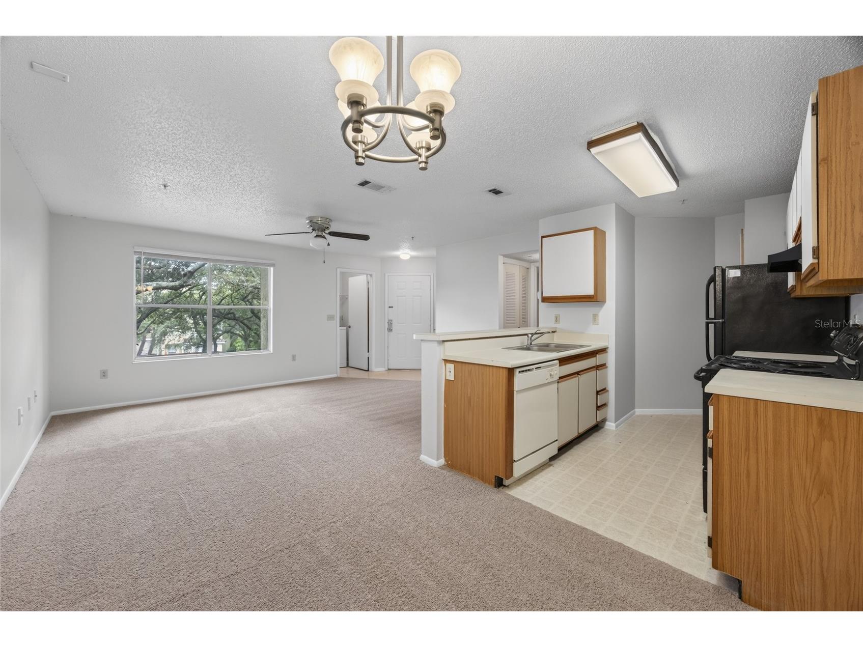 642 Dory Lane #203 Altamonte Springs FL 32714 O6427094 image5