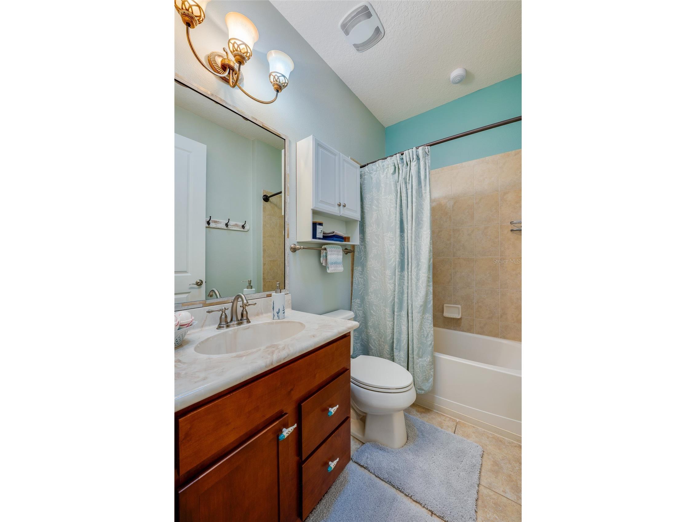 642 Elk River Drive Ormond Beach FL 32174 O6409545 image6