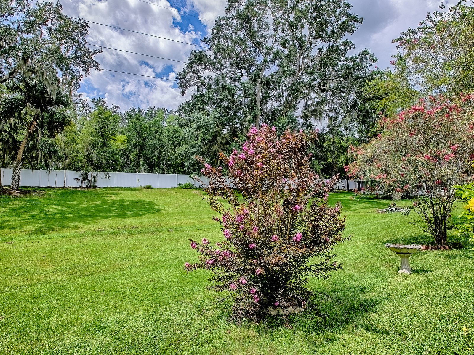 642 Glen Oaks Drive Leesburg FL 34748 G5100872 image20