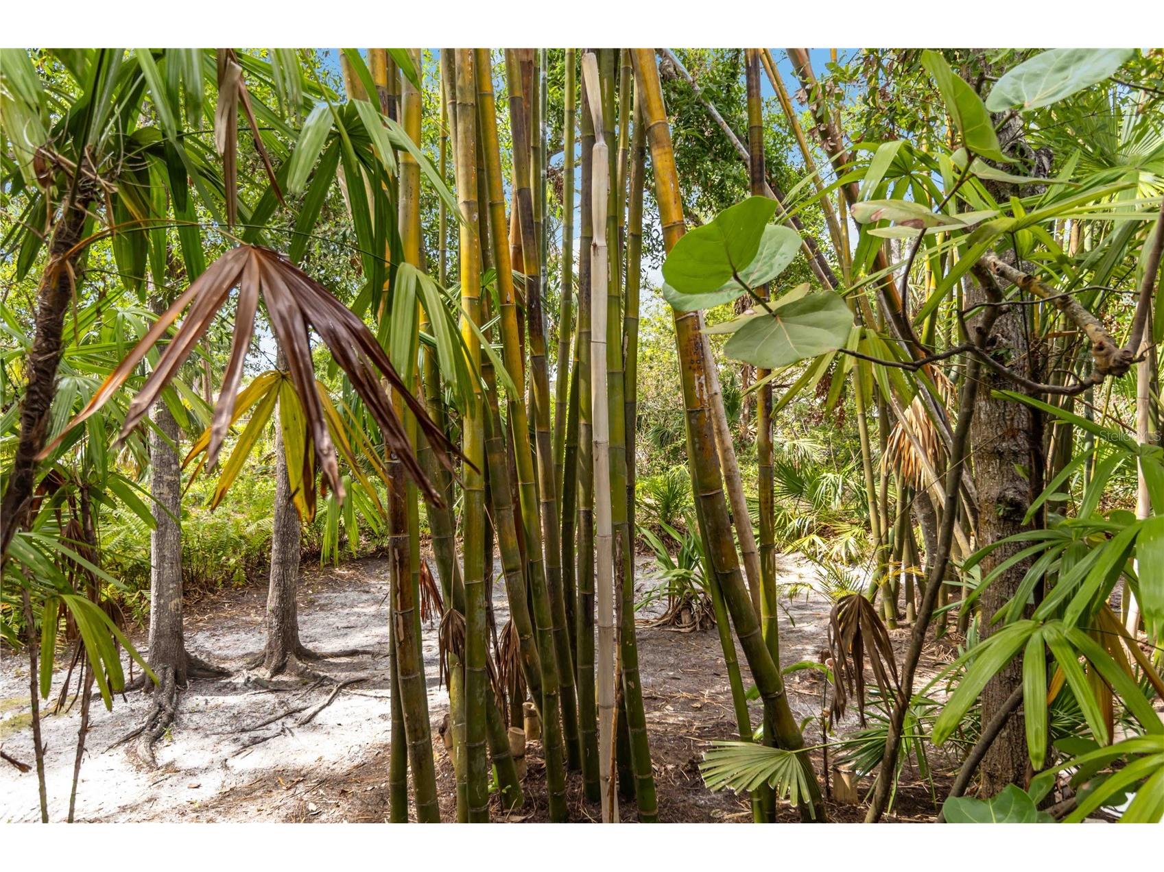 642 N Jefferson Avenue #13 Sarasota FL 34237 A4651611 image28