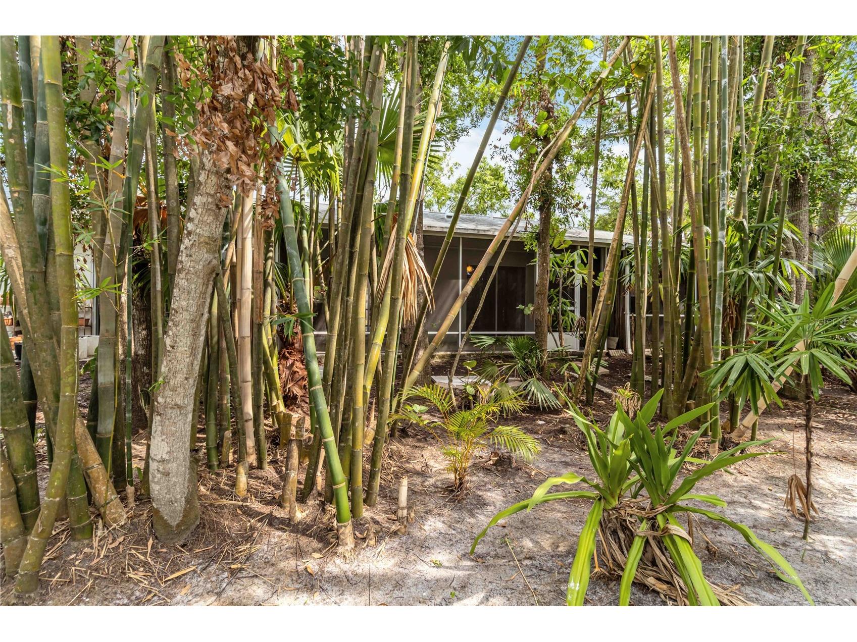 642 N Jefferson Avenue #13 Sarasota FL 34237 A4651611 image29