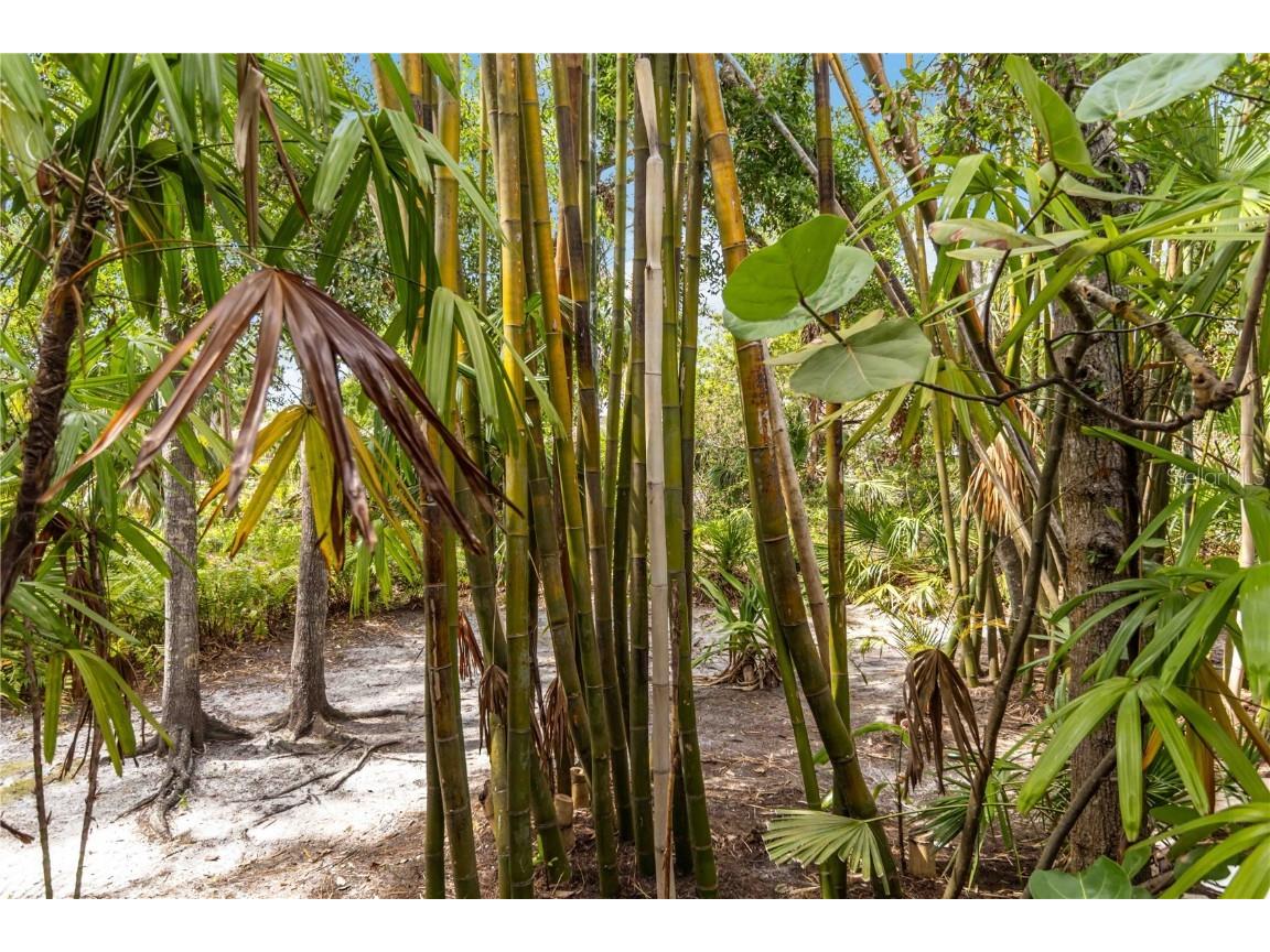 642 N Jefferson Avenue #13 Sarasota FL 34237 A4652898 image31