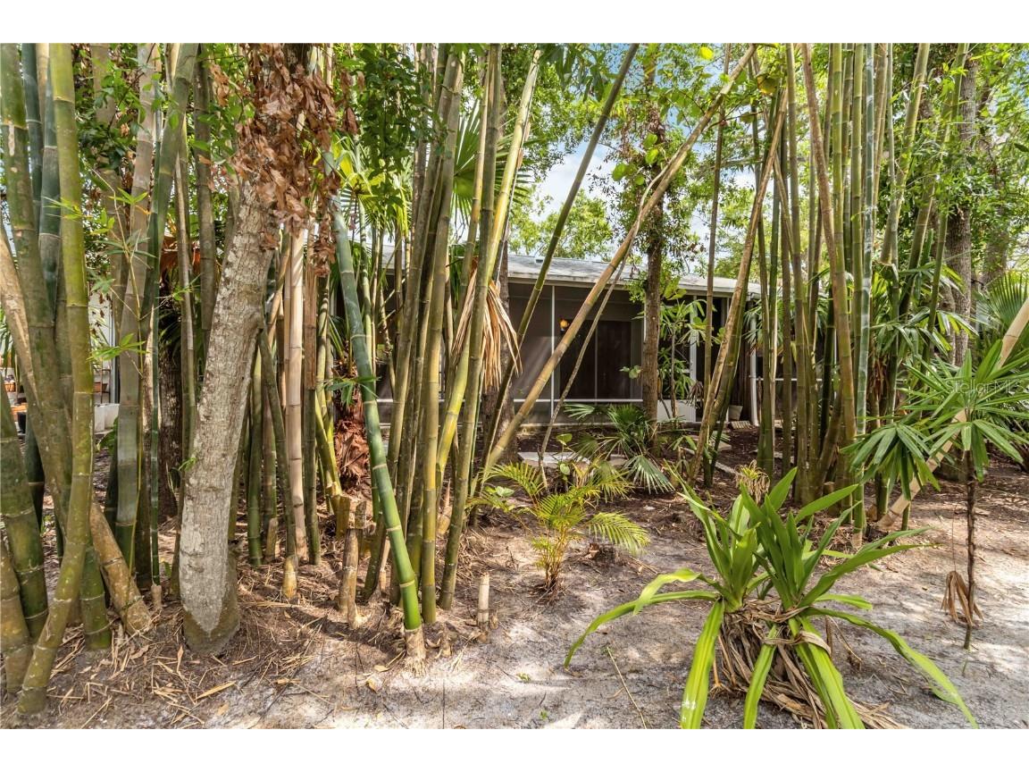 642 N Jefferson Avenue #13 Sarasota FL 34237 A4652898 image34