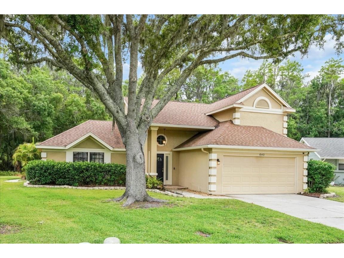 642 Satinleaf Avenue Oldsmar FL 34677 U8242743 image1