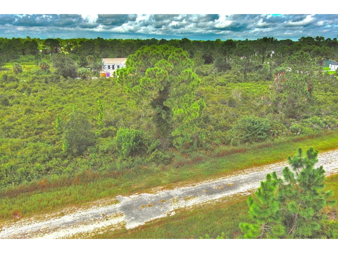 642 Vasser Avenue S Lehigh Acres FL 33974 O6343669 image5