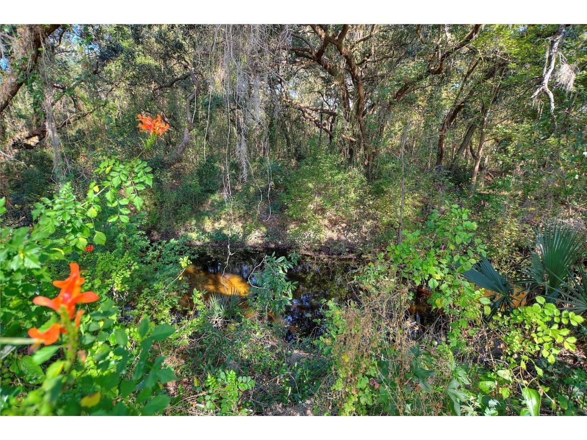 642 Vista Oaks Way Davenport FL 33837 S5139597 image32