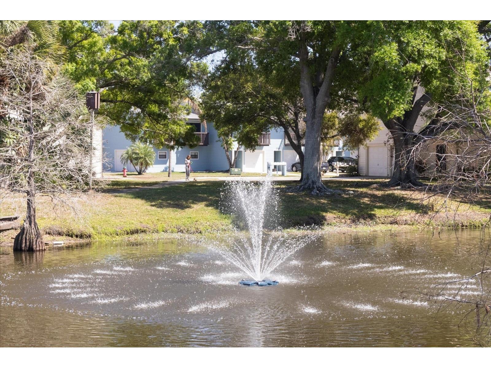 6420 92nd Place #1202 Pinellas Park FL 33782 TB8485784 image62