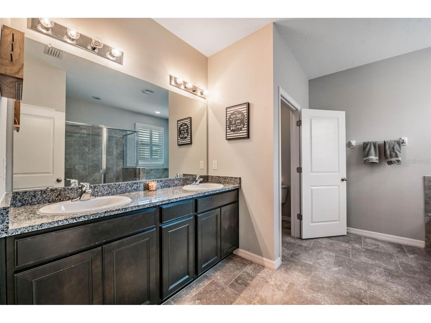 6420 Triton Lane Apollo Beach FL 33572 TB8501580 image21